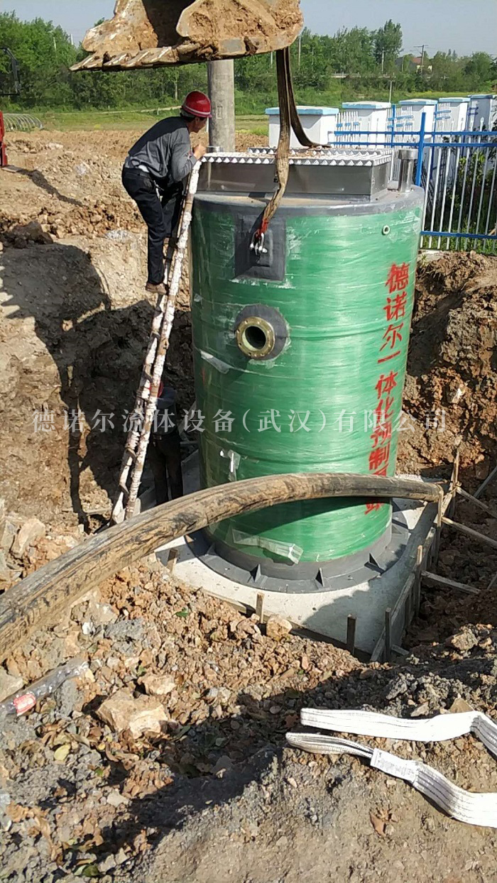 雙河鎮一體化泵站項目4