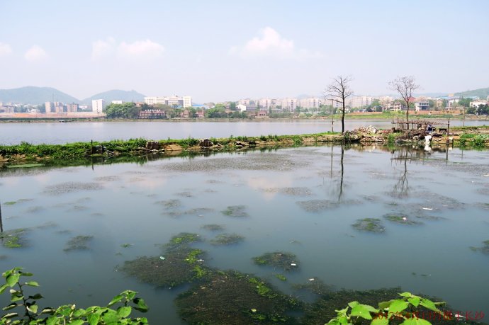 長(cháng)沙后湖現狀
